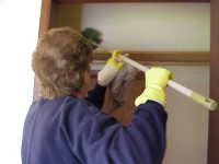Removing Spider Webs