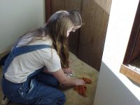 Scrubing Rugs