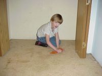 Scrubing Rugs