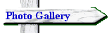 Photo Gallery